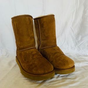 chestnut uggs